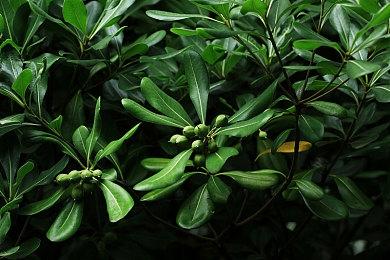 桌面暗黑 畅爽刷宝！类暗黑2放置挂机RPG《巴尔的遗产》今日正式发售！