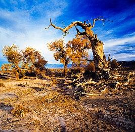 《光与影：33号远征队》Steam留存玩家超《上古卷轴4：湮灭重制版》