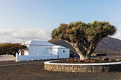 《天穗之咲稻姬》公布衍生新游 计划打造免费探索战斗RPG